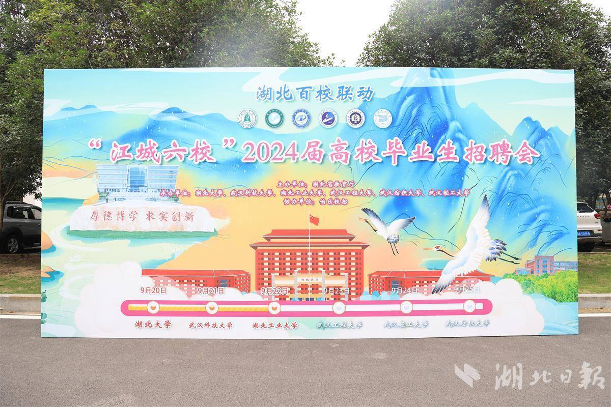 龙八国际
